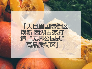 天目里国际街区焕新 西湖古荡打造“无界公园式”高品质街区