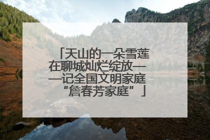 天山的一朵雪莲在聊城灿烂绽放——记全国文明家庭“詹春芳家庭”
