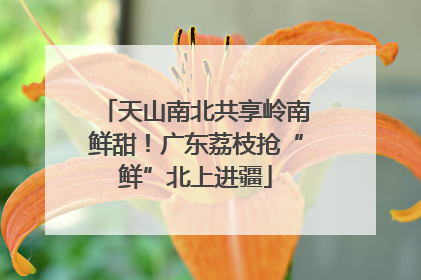 天山南北共享岭南鲜甜！广东荔枝抢“鲜”北上进疆
