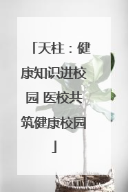天柱：健康知识进校园 医校共筑健康校园