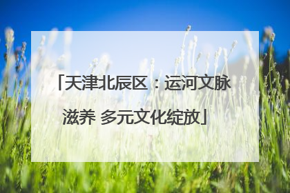 天津北辰区：运河文脉滋养 多元文化绽放