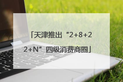 天津推出“2+8+22+N”四级消费商圈