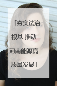 夯实法治根基 推动河南能源高质量发展