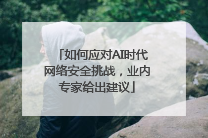 如何应对AI时代网络安全挑战，业内专家给出建议