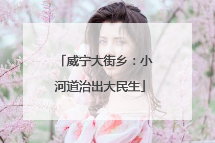 威宁大街乡：小河道治出大民生