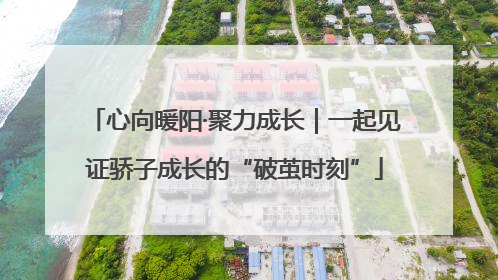 心向暖阳·聚力成长｜一起见证骄子成长的“破茧时刻”