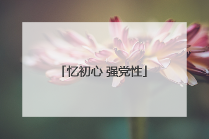 忆初心 强党性