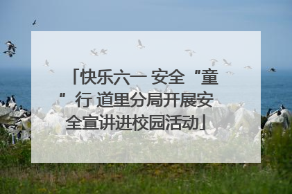 快乐六一 安全“童”行 道里分局开展安全宣讲进校园活动