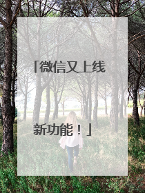 微信又上线新功能！