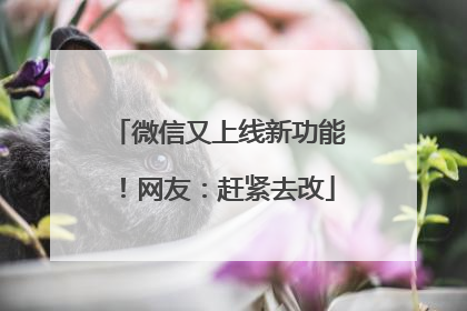 微信又上线新功能！网友：赶紧去改