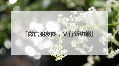 微信朋友圈，又有新功能