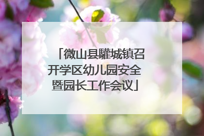 微山县驩城镇召开学区幼儿园安全暨园长工作会议