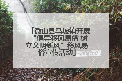 微山县马坡镇开展“倡导移风易俗 树立文明新风”移风易俗宣传活动
