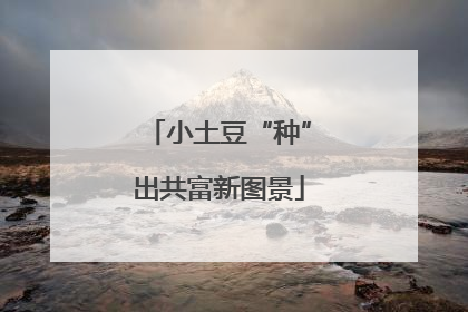 小土豆“种”出共富新图景