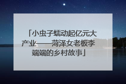 小虫子蠕动起亿元大产业——菏泽女老板李端端的乡村故事
