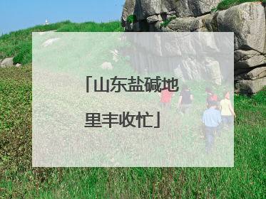 山东盐碱地里丰收忙