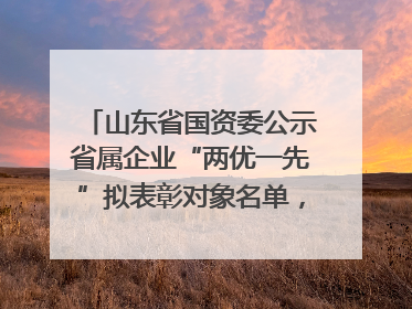 山东省国资委公示省属企业“两优一先”拟表彰对象名单，共250名（个）党员和党组织