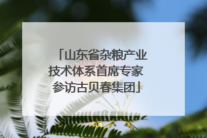 山东省杂粮产业技术体系首席专家参访古贝春集团