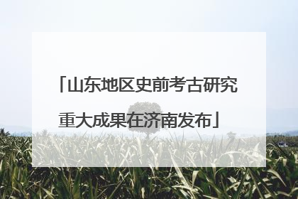 山东地区史前考古研究重大成果在济南发布
