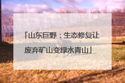 山东巨野：生态修复让废弃矿山变绿水青山