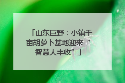 山东巨野：小镇千亩胡萝卜基地迎来“智慧大丰收”