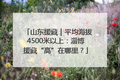 山东援藏｜平均海拔4500米以上：淄博援藏“高”在哪里？