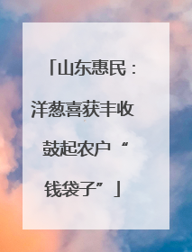 山东惠民：洋葱喜获丰收 鼓起农户“钱袋子”