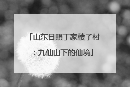 山东日照丁家楼子村：九仙山下的仙境