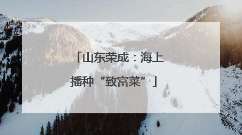 山东荣成：海上播种“致富菜”