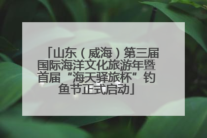 山东（威海）第三届国际海洋文化旅游年暨首届“海天驿旅杯”钓鱼节正式启动