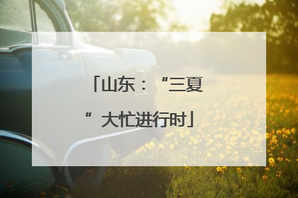 山东：“三夏”大忙进行时