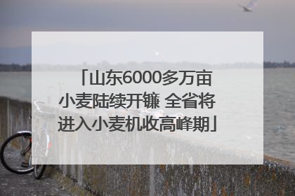 山东6000多万亩小麦陆续开镰 全省将进入小麦机收高峰期