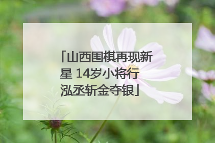 山西围棋再现新星 14岁小将行泓丞斩金夺银