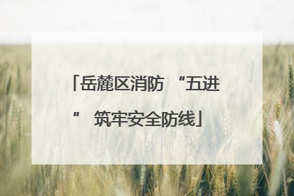 岳麓区消防 “五进” 筑牢安全防线