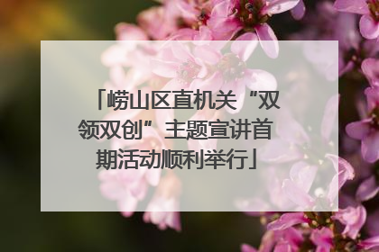 崂山区直机关“双领双创”主题宣讲首期活动顺利举行