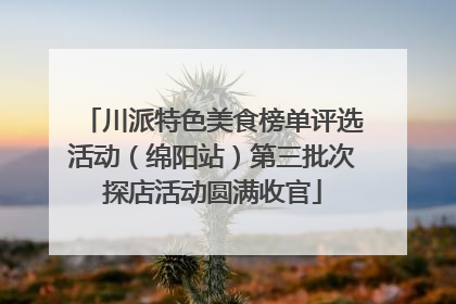 川派特色美食榜单评选活动（绵阳站）第三批次探店活动圆满收官