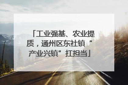 工业强基、农业提质，通州区东社镇“产业兴镇”扛担当