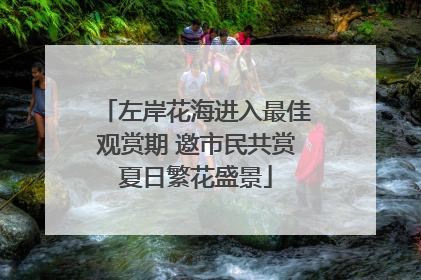 左岸花海进入最佳观赏期 邀市民共赏夏日繁花盛景