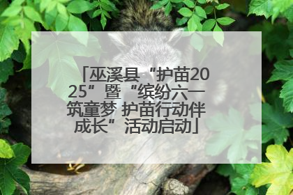 巫溪县“护苗2025”暨“缤纷六一筑童梦 护苗行动伴成长”活动启动