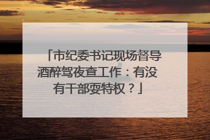 市纪委书记现场督导酒醉驾夜查工作：有没有干部耍特权？