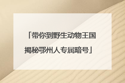 带你到野生动物王国揭秘鄂州人专属暗号