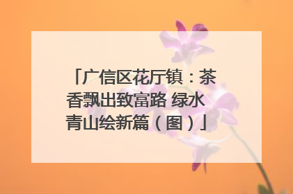 广信区花厅镇：茶香飘出致富路 绿水青山绘新篇（图）