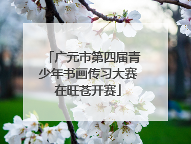 广元市第四届青少年书画传习大赛在旺苍开赛