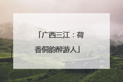 广西三江：荷香侗韵醉游人