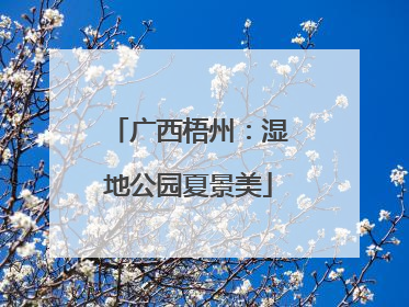 广西梧州：湿地公园夏景美