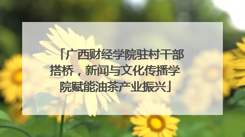 广西财经学院驻村干部搭桥，新闻与文化传播学院赋能油茶产业振兴