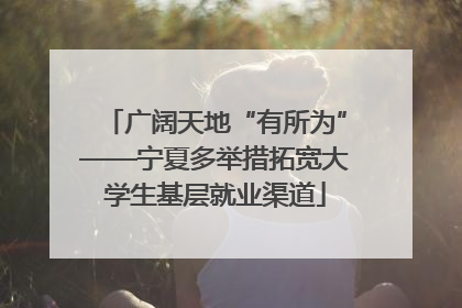 广阔天地“有所为”——宁夏多举措拓宽大学生基层就业渠道