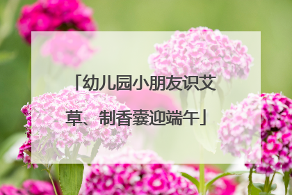 幼儿园小朋友识艾草、制香囊迎端午