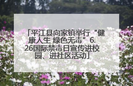 平江县向家镇举行“健康人生 绿色无毒”6.26国际禁毒日宣传进校园、进社区活动