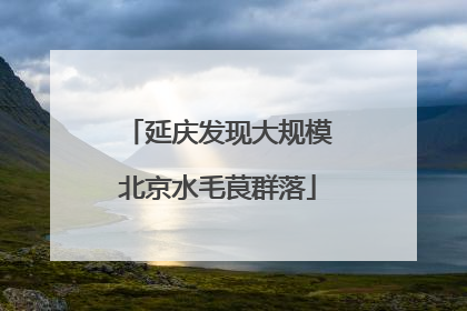 延庆发现大规模北京水毛茛群落